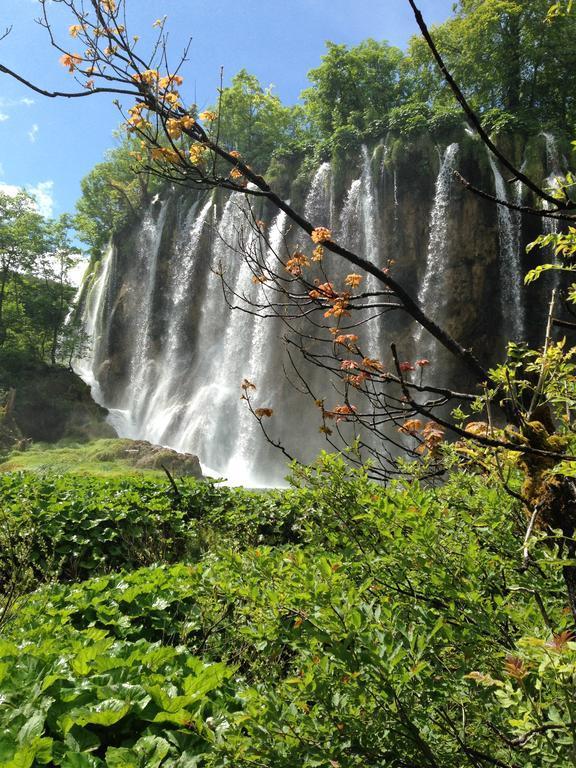 B&B Plitvice Lakes Villa Irene Seliste Dreznicko Exterior foto